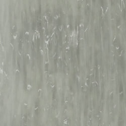 variant-pfbw-1