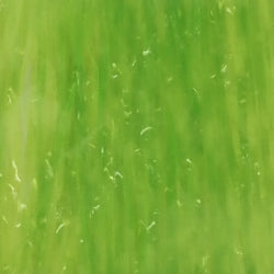 variant-pfbw-2