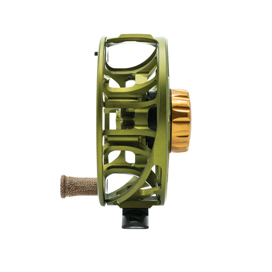 ANIMAS REEL