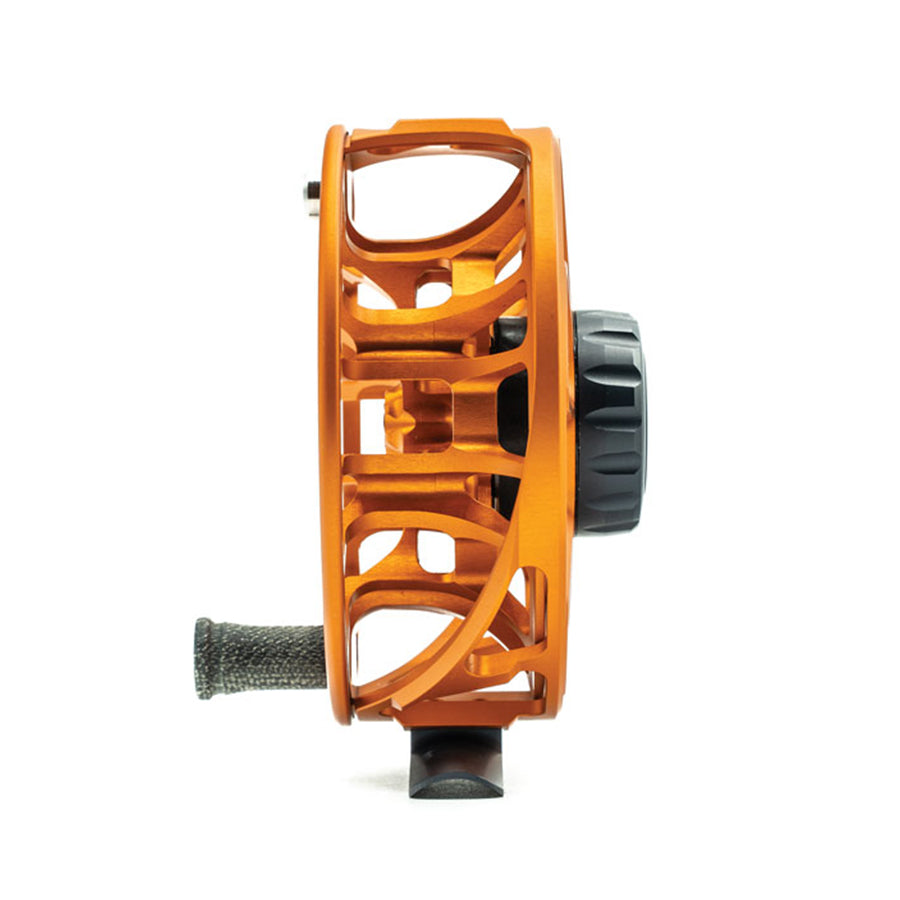 ANIMAS REEL