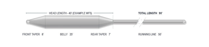 CAST FLY LINES